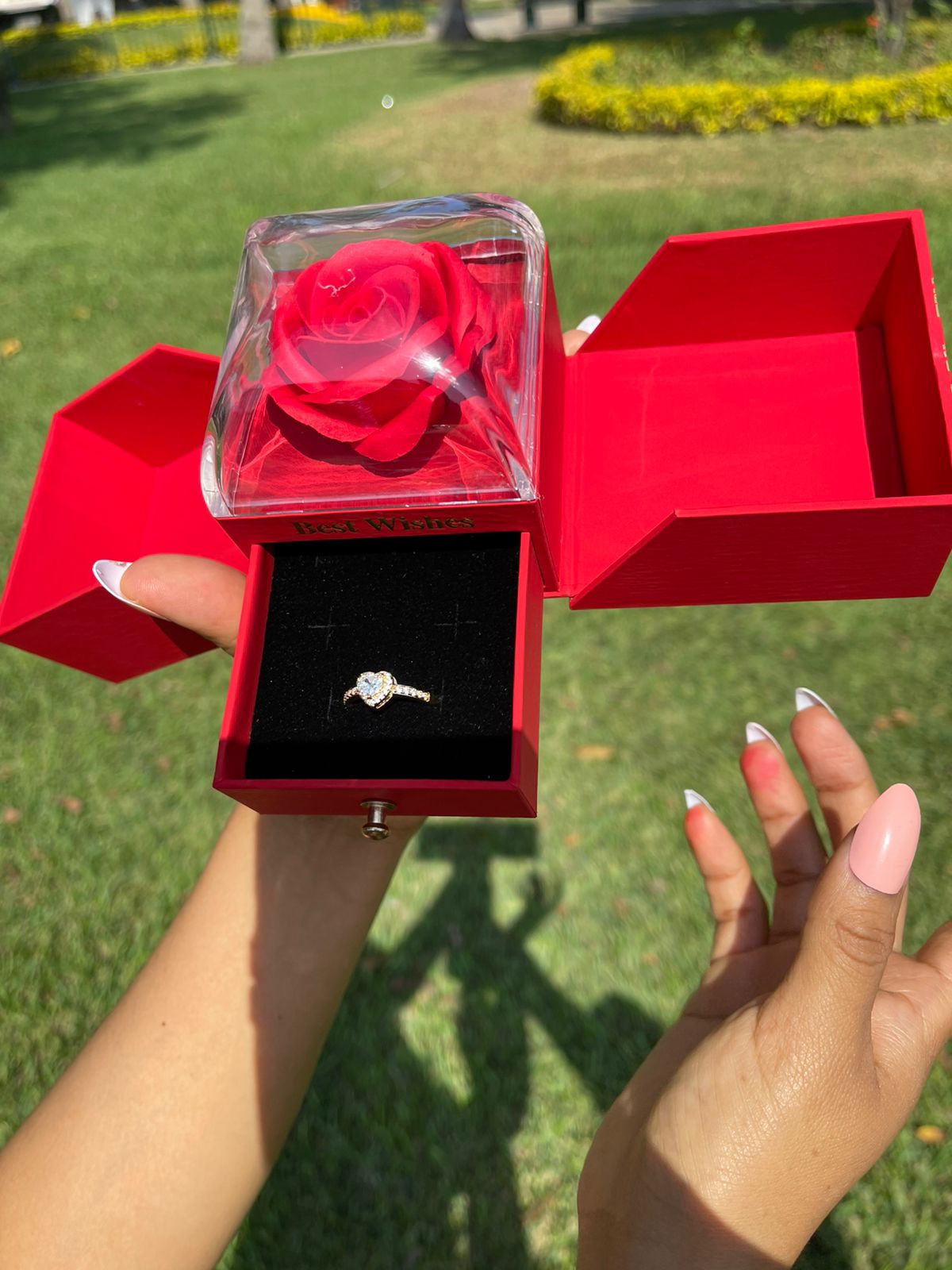 Anillo de Promesa